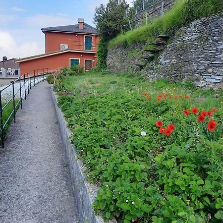 Villa La Finestra Sul Golfo - Citra 010018-Lt-0033 - Cogorno Exterior foto